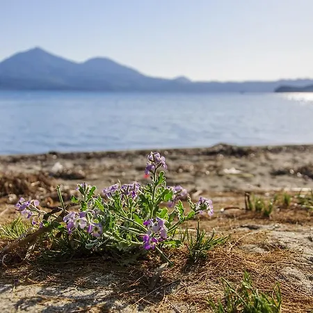 Christina アダマス