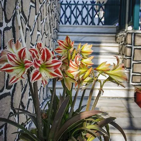 Christina アパートホテル