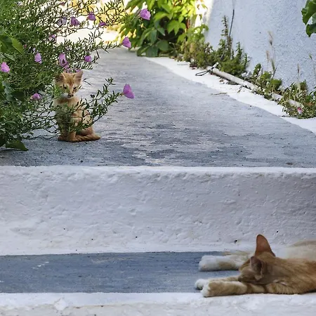 Christina 4* Adamantas (Milos)