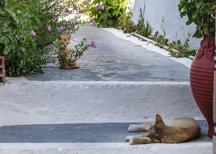 Christina 4* Adámasz